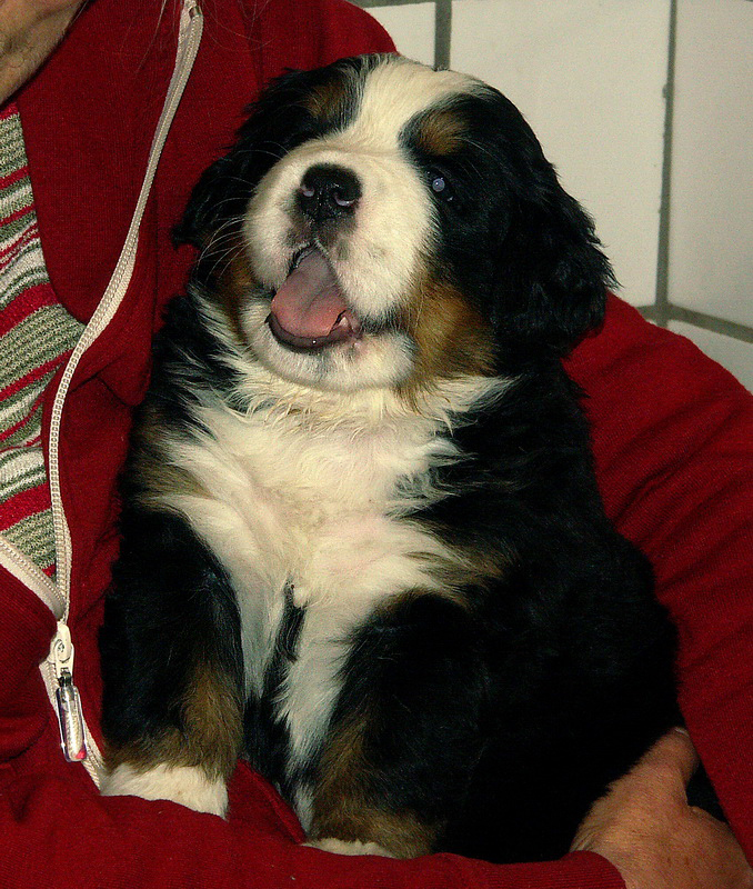 Anton A2 PICT0907 (6)_BildgrÃ¶ÃŸe Ã¤ndern.jpg - ..